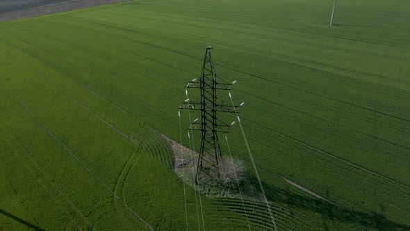 Aerial View of Electric Poles in Green Wheat Fields at Daytime