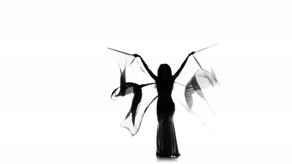 Slim Talanted Exotic Belly Dancer Girl Dance with Wings on White, Silhouette