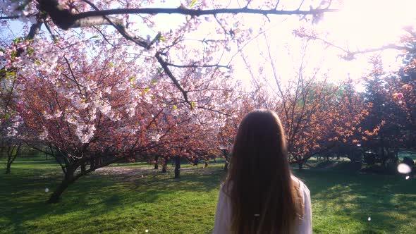 Girl walking in Japanese Garden with blooming trees. Young woman with long hair enjoys spring