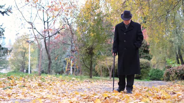 An Elderly Man with Visual Impairments Walks in the Park with a Stick