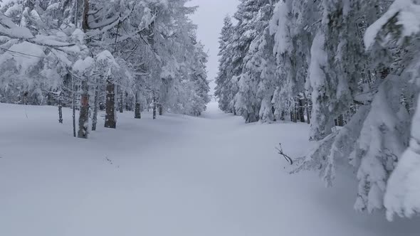 Aerial View of a Fabulous Winter Mountain Landscape Closeup