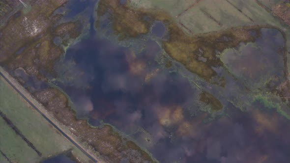 Aerial view of a swamp in early morning, Germany.