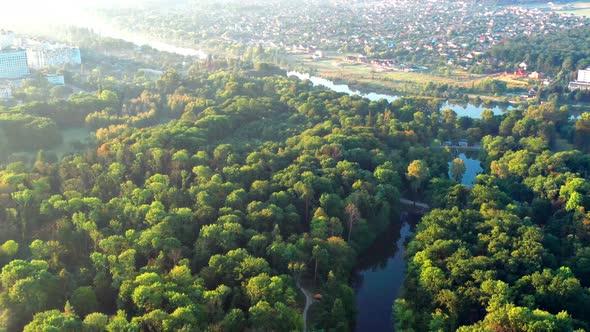 Nice top view of the park, forest covered with greenery. Morning river in fog.