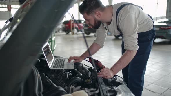 Mechanic Using Automotive Diagnostic Software alt