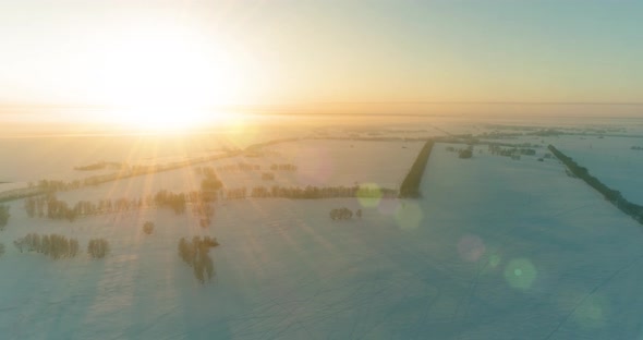 Aerial Drone View of Cold Winter Landscape with Arctic Field Trees Covered with Frost Snow and