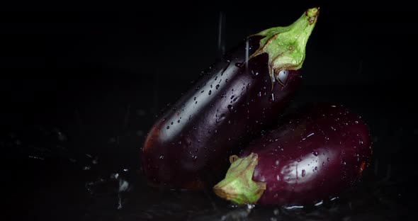 Fresh Eggplant Falling Water Drops