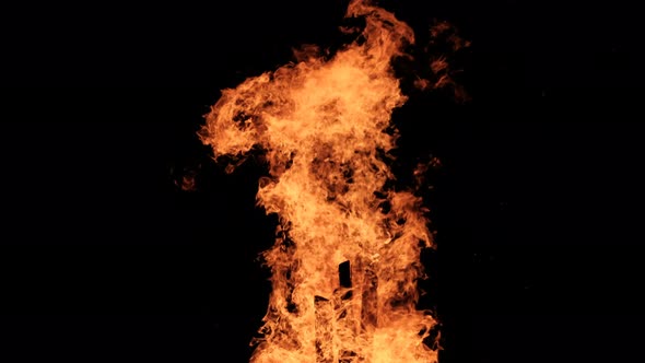 Big Bonfire Burns at Night in Slow Motion on a Black Background on Nature