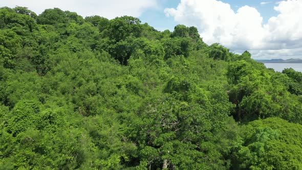 fly over shot of a tree covered tropical island off Madagascar