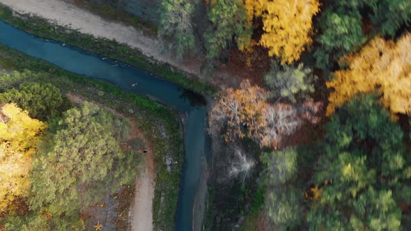 The Drone Flies Over the Park Where Residents of the City Stroll Along the Bank of a Beautiful