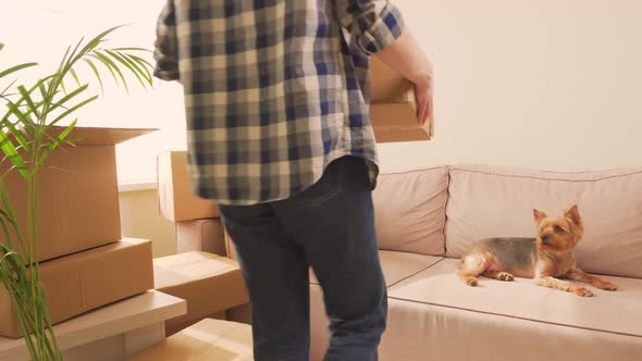 A Woman in a Plaid Shirt Puts a Cardboard Box of Things on the Sofa