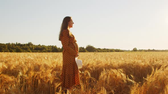 Pregnant woman in the rays of the sunset in the field