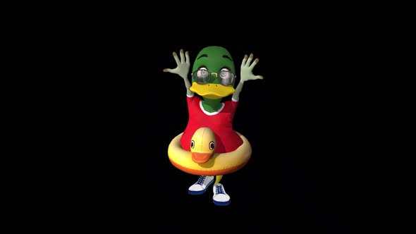 Duck Funny Dance