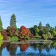 Autumn Landscape in Sheffield Park and Garden - VideoHive Item for Sale