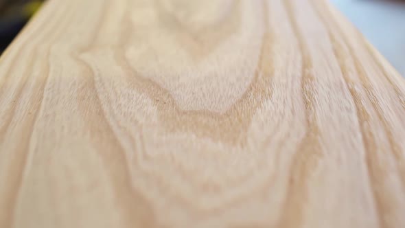 Structure and Pattern on the Surface of an Ash Lamella