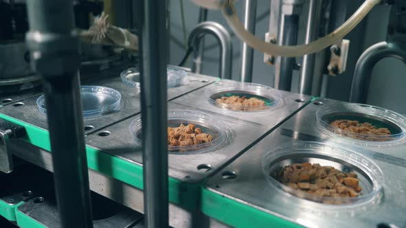 Conveyor Is Sealing Plastic Plates with Bread Crumbs