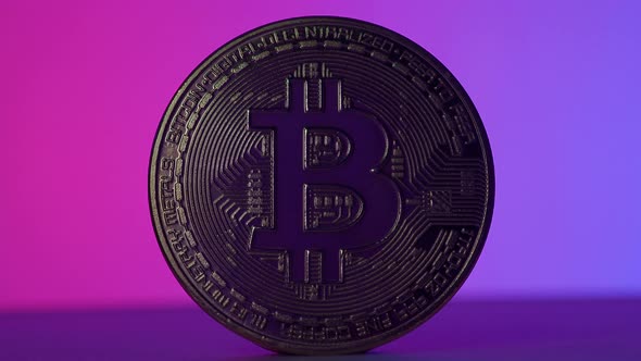 Bitcoin in Shadow and light. Cryptocurrency bitcoin and Pink Blue color light mood tone.