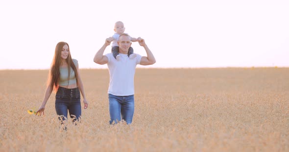 Father, Mother and Child in the Field of Golden Culture, Warm Evening Light. Daddy Carries His Son