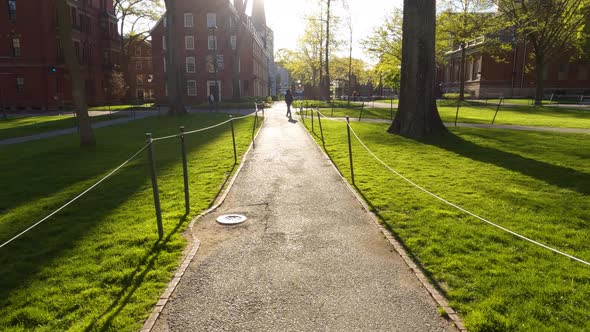 Walking through Harvard Yard with Bright Sunny Light in Distance, POV