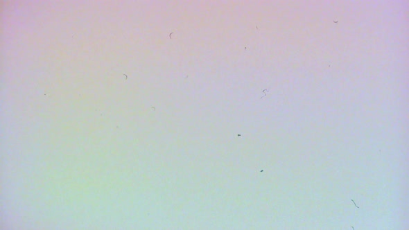 Color Film Scratch Noise Background