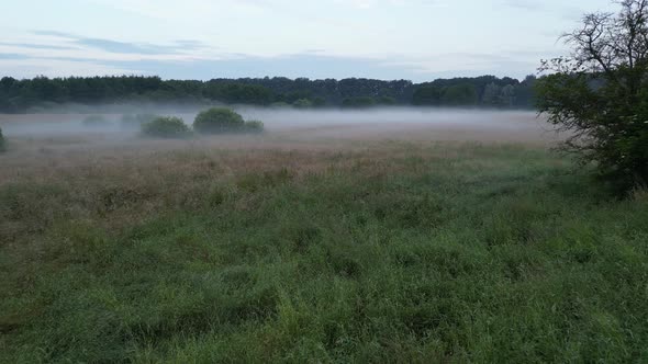 Early morning foggy meadow drone flight