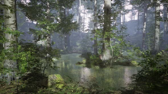 Sunrise with Sunbeams Through the Forest By the Lake