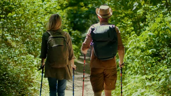 Hiker Practicing Nordic Walking In Forest. Sticks Walking On Jungle Foliage. Hiker Hiking Sport.