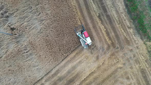 Harvester in the rice field