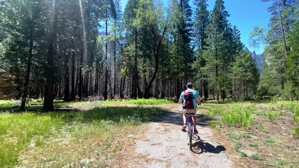 Wider angle of two boys biking on a trail in Yosemite National Park. They pass numerous trees with m