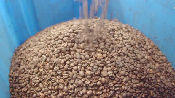 Slow Motion of Whole Coffee Grains Falling Into Container