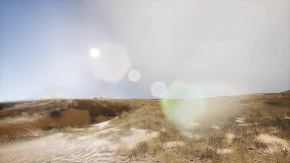 Smoke Over Dunes alt