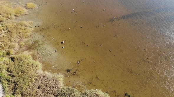 Clear Water and Bottom Gulf of Finland