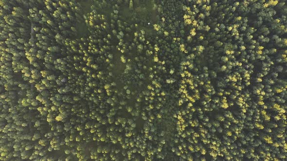 Flight Over Alpine Forest Durring Sunset Among Rural Path.