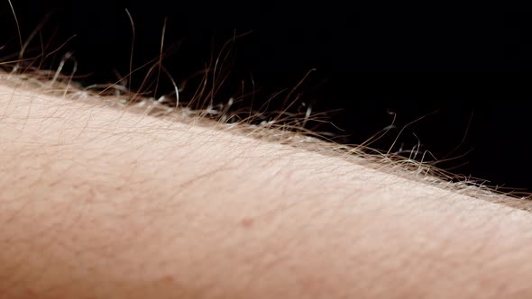 Hand Surface with Hair Closeup