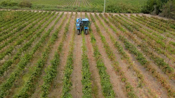 Aerial dolly out view of a blue grape harvester in a vineyard on a cloudy day, Talagante, Chile.