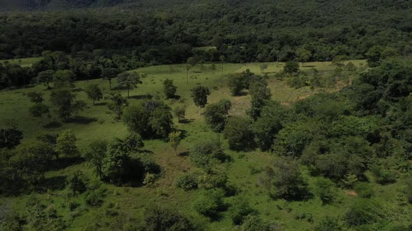 Uncleared wilderness in the Brazilian savannah still safe from deforestation - aerial pull back view