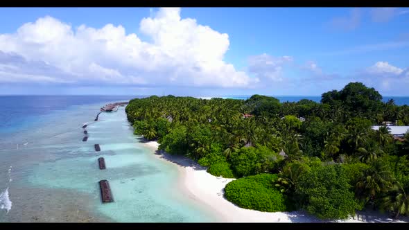 Aerial drone travel of luxury tourist beach wildlife by blue green sea with white sandy background o