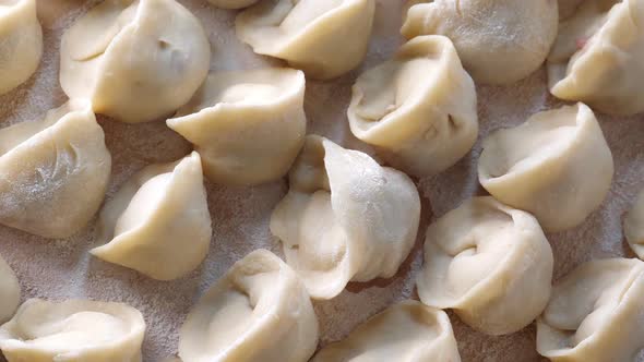 Homemade Meat Dumplings, Closeup