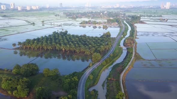 Aerial view morning view rural scene of Penang paddy field