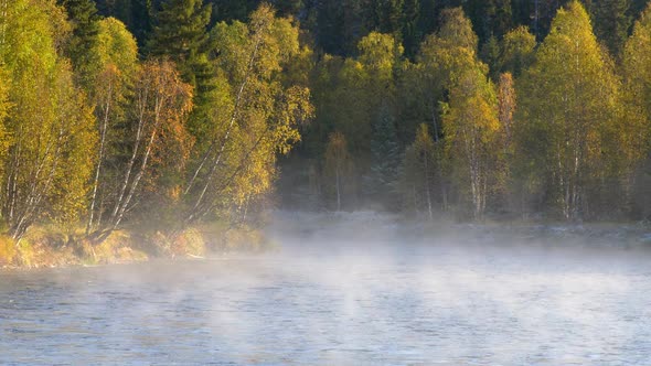 Foggy River and Autumn Trees Landscape. Autumn Finnish Concept in Oulanka National Park