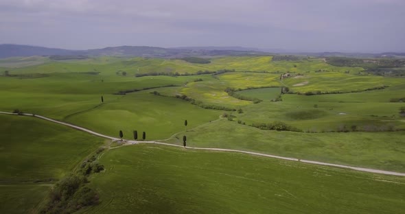 Beautiful Green Hills And Fields And Cypresses Landscape In Tuscany, Italy