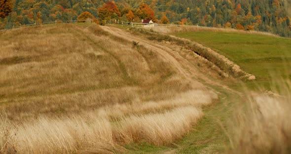 Empty countryside road in green meadow