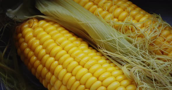 Ears of Freshly Cooked Corn Closeup