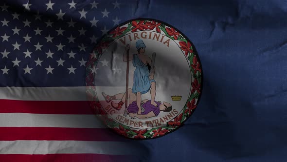 Virginia State Usa Mixed Flag 4K