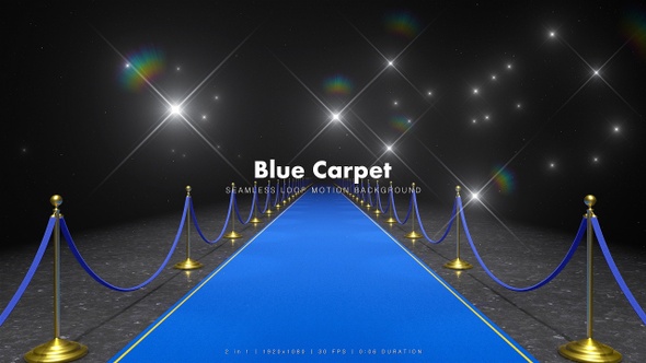 Blue Carpet Walk 6