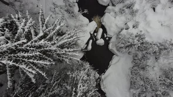 Aerial winter forest with flowing stream 