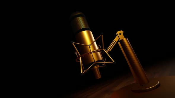 Gold Plated Studio Microphone
