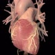 Heart failure means that the heart is unable to pump blood around the body properly. - VideoHive Item for Sale
