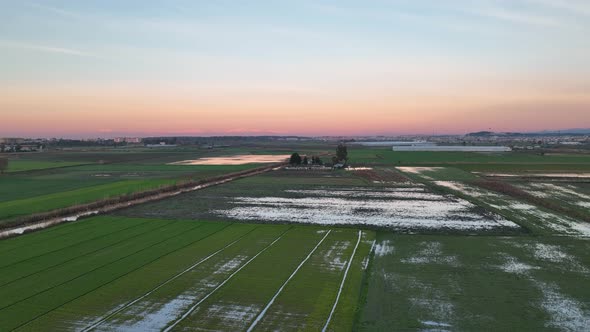 Sunrise Green Farm  Texture 4 K Aerial View