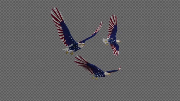 USA Eagles - 3 Birds - Flying Loop - Side Angle 4K