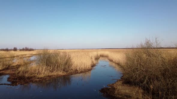 Aerial view of the lake overgrown with brown reeds, lake Pape nature park, Rucava, Latvia, sunny spr